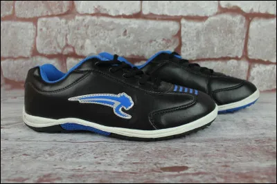 Quelle est cette marque ?