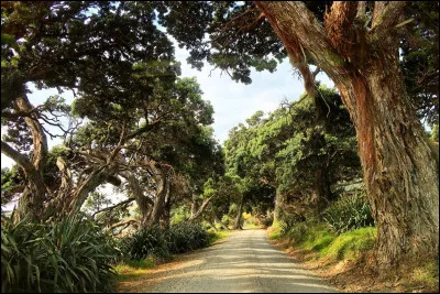 Mon premier empalait au moyen-âge, on fête mon second, mon troisième interroge, mon tout fut un mur de défense !