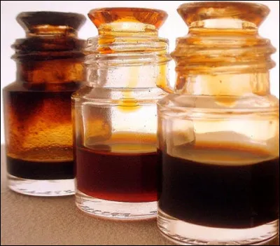 Quel est le nom de la sécrétion huileuse et odorante produite par des glandes du castor ?