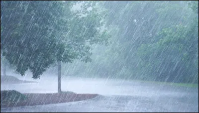 C'est le soir, ton animal est dehors.
Tu pars te coucher, quand dehors, il pleut des cordes et il y a beaucoup de vent.
Comme te sens-tu par rapport à ton animal ?