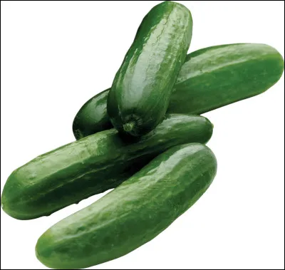 Lorsque tu prépares un repas équilibré, quel élément est le plus important pour toi ?