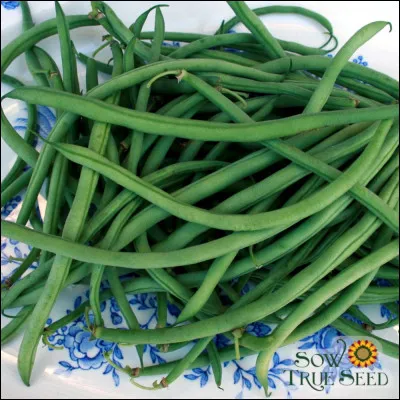 Lors d'un pique-nique en plein air, quels aliments emportes-tu en priorité ?