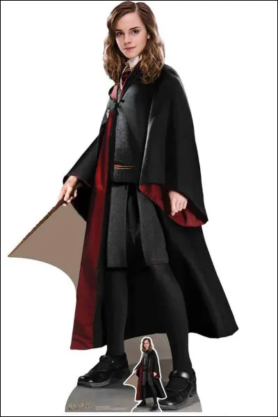 De quoi est faite sa baguette ?