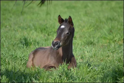 Parmi ces quatre communes, une seule a un lien avec la photo ci-dessus, laquelle ?