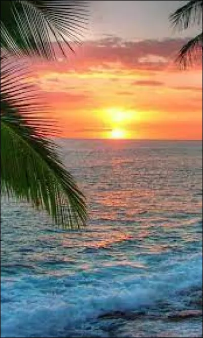 Qui a dit : "L'imagination est plus importante que le savoir" ?