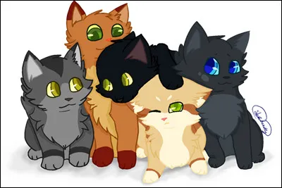 Quel est l'endroit idéal pour toi ?