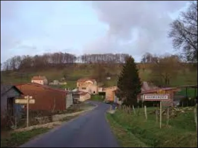 Nous terminons notre balade en Lorraine, sur la route menant à Varmonzey. Petit village de 24 habitants, dans l'arrondissement de Neufchâteau, il se situe dans le département ...