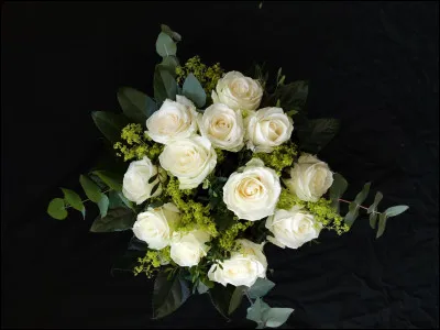 Tu préfères que ton nom se termine par