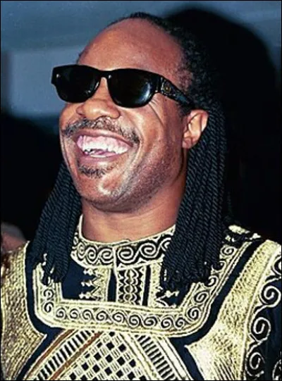 Qui est ce Stevie, auteur-compositeur-interprète américain en W ?