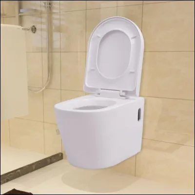 Quel est le nom en W de ce lieu d'aisance ?