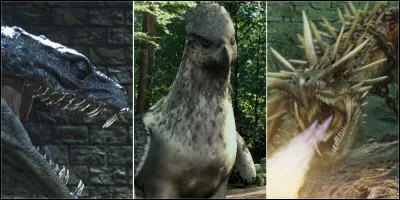 Quel est ton animal préféré ?