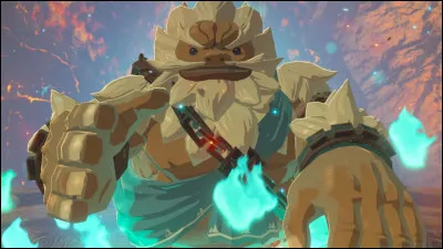 Qui est ce gros musclé ?