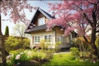 Complétez le titre de la chanson de Claude François : "Viens à la maison, y'a...".