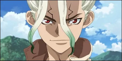 Dans "Dr Stone", Senku devient le chef du village :