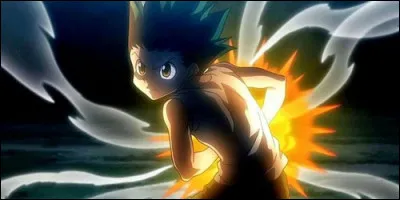 Quel pouvoir possède Gon Freecss dans "Hunter X Hunter" ?