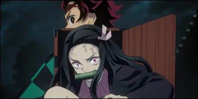 Comment se prénomme la soeur de Tanjirō Kamado dans "Demon Slayer" ?
