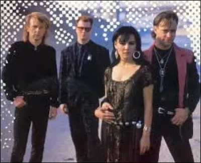 Peter Kingsbery a fondé en 1982 le groupe Cock Robin.