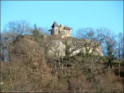 Je vous emmène à la découverte du château de Montégut-en-Couserans. Petit village Ariégeois de 77 habitants, il se situe en région ...