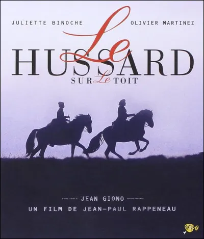 Qui est l'auteur du roman "Le Hussard sur le toit" ?