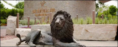 Si autre, quel est votre animal préféré ?