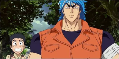 De quoi parle-t-on essentiellement dans "Toriko" ?