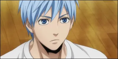 Dans "Kuroko's Basket", quel animal adopte Tetsuya Kuroko ?