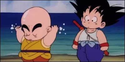 Qui s'entraîne avec San Goku chez Tortue Géniale dans "Dragon Ball" ?