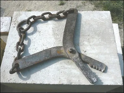 Protectrice de jumeaux, c'est la...