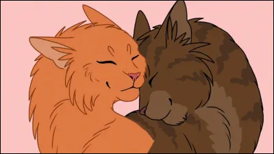 Poil d'Écureuil et Griffe de Ronces auront des ... chatons.