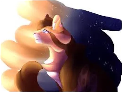 Parmi ces chats, qui sont ses frères ou surs ?