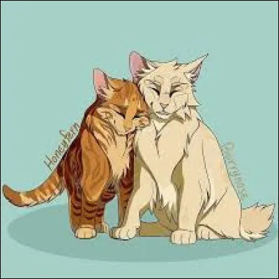 Qui deviendra son compagnon ?