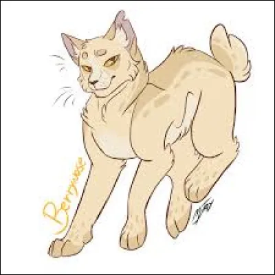 Pelage de Miel et Truffe de Sureau souhaitaient-ils des chatons ?