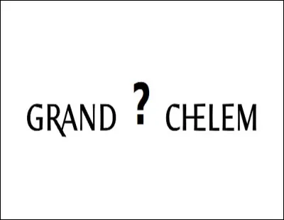 Quel tournoi du Grand Chelem a-t-il remporté ?