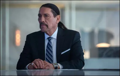 Dans quoi pouvons-nous voir Danny Trejo comme sur l'image ?