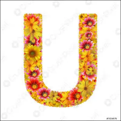 Que trouve-t-on à l'intérieur des coucougnettes de Pau ?