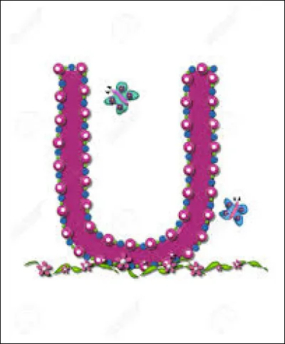 Qu'est-ce que le yuzu ?