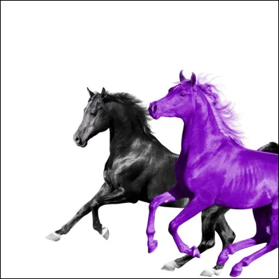 "Old Town Road Est" une collaboration entre RM et...