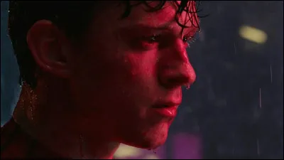 Ton petit ami a aussi des défauts ; tu préférerais qu'il soit :