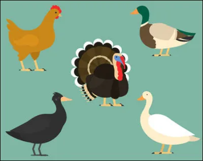 Quels animaux auraient sauvé Rome, selon un événement historique mythifié ?