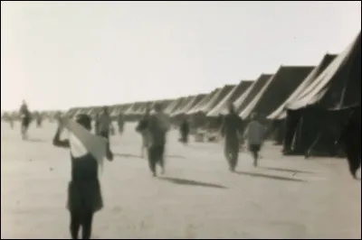 Conséquences de cette déclaration, les pays arabes voisins déclarent la guerre au nouvel État et les Juifs établis depuis des dizaines de siècles en [... et ...] perdent leur nationalité et ... [Complétez !]