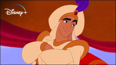 Termines les paroles de la chanson dans ''Aladdin'', ''Prince Ali'' : 
''Prince Ali, sa seigneurie Ali Ababoua _ _ _ _ _ _