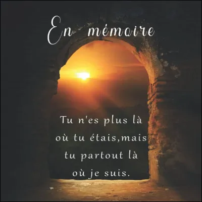 Lequel détestes-tu le plus ?