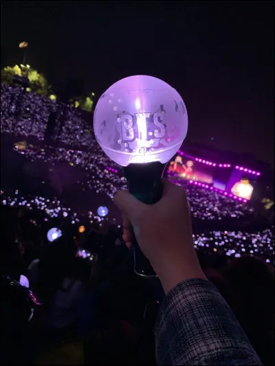 Comment se nomme le "fandom" du groupe BTS ?