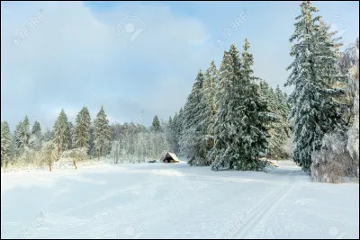 Quelle couleur de cette photo as-tu vue en premier ? (2)
