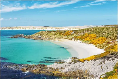 Beaucoup de territoires contestés entre plusieurs États souverains sont des îles. Historiquement, le meilleur exemple est sans doute cet archipel de l'Atlantique sud que nous connaissons sous le nom argentin d'Islas Malvinas (Malouines en français), mais qui appartient officiellement au Royaume-Uni. Quel est son nom britannique ?