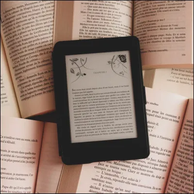 Quel livre pr&eacute;f&egrave;res-tu parmi ceux-ci ?