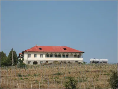 Si tu ne veux pas d'animal, tu veux que ton personnage soit...