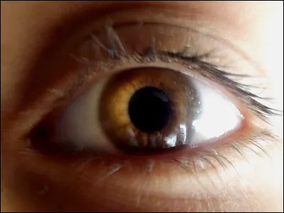 Que peut-on mettre sur les yeux ?