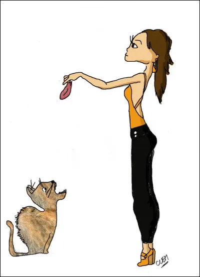 Quelle expression se cache dans cette image ?