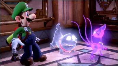 Où se cache l'Ectochat lorsqu'il est dans la Suite Illusoire ?